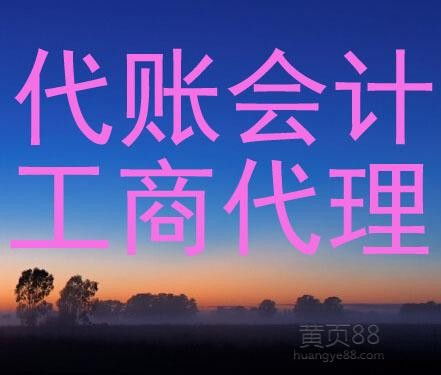 圖 代理記賬 公司注冊(cè) 工商年檢 幫您解決工商稅務(wù)問題 廣州工商注冊(cè)