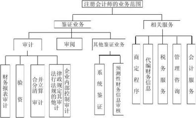 2011注冊會(huì)計(jì)師考試審計(jì)-背誦