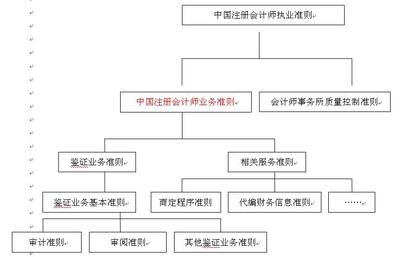 2010年《審計(jì)》輔導(dǎo):注冊會計(jì)師執(zhí)業(yè)準(zhǔn)則(1)