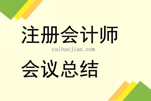 注冊會計師工作會議總結講話3篇